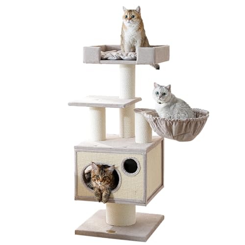 Maine Coon Kratzbaum für Indoor-Katzen, große Erwachsene, moderner Katzenturm für extra große Katzen, ab 9 kg, robuster Kratzbaum mit Sisal-Kratzpfosten, Hängematte, Sitzstange, Höhle, Bett Maine Coon Kratzbaum für Indoor-Katzen, große Erwachsene, moderner Katzenturm für extra große Katzen, ab 9 kg, robuster Kratzbaum mit Sisal-Kratzpfosten, Hängematte, Sitzstange, Höhle, Bett von Sopapets