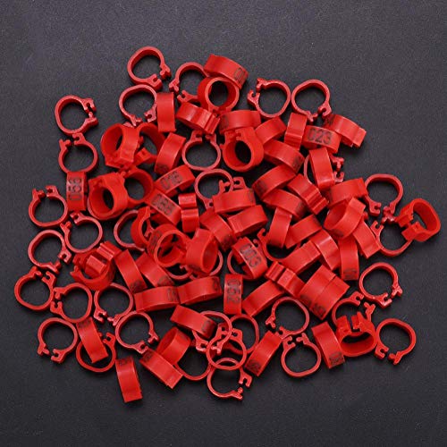 Sorand Wiederverwendbarer Kunststoff 6 Taubenbeinringe, Taubenbeinbänder, für Brieftaube(red) von Sorand