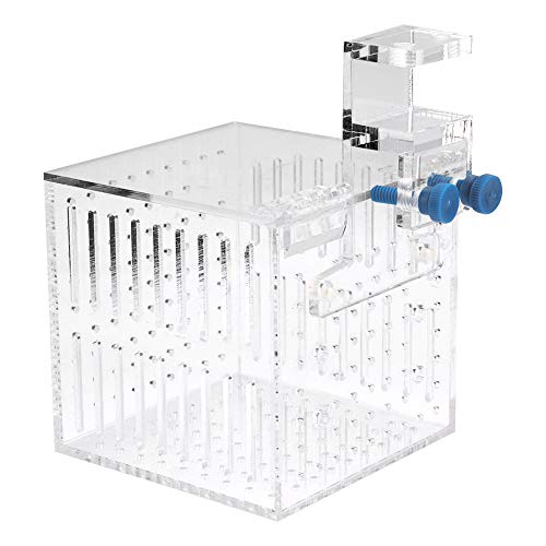Transparente Acryl-Aquarium-Isolierungsbox, Fisch-Isolierungsbox, Acryl-Fisch-Isolierungsbox für Neue Fische, Aquarium mit Verstellbarer Höhe von Sorandy