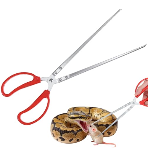 Sorcristy 38,1 cm Futterzange für Reptilien, extra lange Edelstahl-Pinzette mit rutschfestem Griff zum Füttern von Schlangen, Bartagamen, Aquariumpflege Sorcristy 38,1 cm Futterzange für Reptilien, extra lange Edelstahl-Pinzette mit rutschfestem Griff zum Füttern von Schlangen, Bartagamen, Aquariumpflege von Sorcristy
