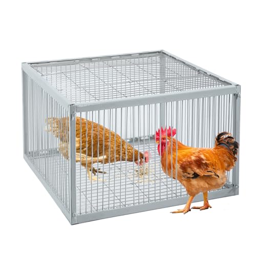Hühnerfalle mit ausbruchsicherem Design, Vogelfalle mit Einwegeingang, Hühner-, Enten- und Truthahnfallen Tragbar & Einfache Montage, Unschädlich aus hochfestem Eisen mit Rostschutzfarbe von SorenCut