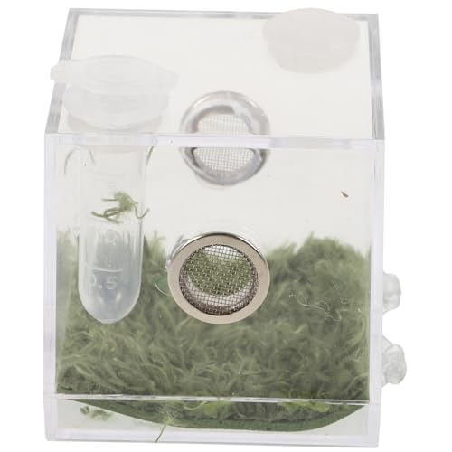 Sosoport 1satz Zuchtbox Für Sprünge Spinnen Transparente Fütterungs Und Beobachtungsbox Für Kleine Reptilien Und Insekten Temperaturmesser Für Aufzucht Und Pflege von Sosoport