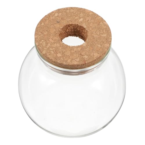 Hydroponisches Glasgefäß Transparentes Rundglas Terrarium für Pflanzen mit Korkdeckel für Sukkulenten Moos und Luftpflanzen Vielseitige Dekoration Hydroponisches Glasgefäß Transparentes Rundglas Terrarium für Pflanzen mit Korkdeckel für Sukkulenten Moos und Luftpflanzen Vielseitige Dekoration von Sosoport