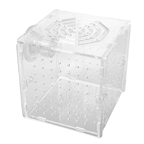 Kasten Isoliertes Aufzuchtbecken Fischgärtnerei Für Aquarien Probenbehälter Für Aquarien Züchternetz Für Aquarien Tropf-akklimatisierungs-kit Zuchtnetz Netz Transparent Sosoport Kasten Isoliertes Aufzuchtbecken Fischgärtnerei Für Aquarien Probenbehälter Für Aquarien Züchternetz Für Aquarien Tropf-akklimatisierungs-kit Zuchtnetz Netz Transparent Sosoport von Sosoport