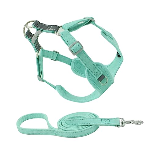 Sosoport Haustierleine Mit Rückholset Für Hunde Verstellbar Und – Mint Zum Spazierengehen Und Trainieren Sosoport Haustierleine Mit Rückholset Für Hunde Verstellbar Und – Mint Zum Spazierengehen Und Trainieren von Sosoport