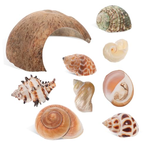 Sosoport Kokosnuss-Schalen-versteck - Einsiedlerkrebs Schildkröten-lebensraum 8 Große Muscheln Aquarium- Sicherer Tierunterschlupf Sosoport Kokosnuss-Schalen-versteck - Einsiedlerkrebs Schildkröten-lebensraum 8 Große Muscheln Aquarium- Sicherer Tierunterschlupf von Sosoport