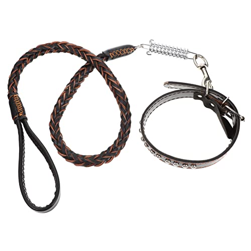 Sosoport 1 Satz Hundeleine Beagle Laufgürtel Für Hunde Hundegeschirr Hundespielzeug Haustier Breites Hundehalsband Hund Zieht Kragen Für Hunde Welpe Schaufel Züchten Black Haut von Sosoport