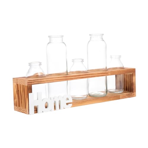 Sosoport 1 Satz Hydroponische Glasflasche Esszimmertischdekoration Hydroponische Pflanzen Pflanze Terrarium Glasvase Blumenladen Versorgung Desktop-dekor Live Anlage Blumenarrangement Holz von Sosoport