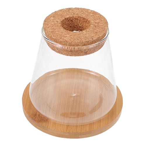 Sosoport 1satz Glasfischbecken Mit Holzdeckel Hydroponisches Terrarium Transparentes Aquarium Für Pflanzen Und Fische Dekoration Für Zuhause Und Büro von Sosoport