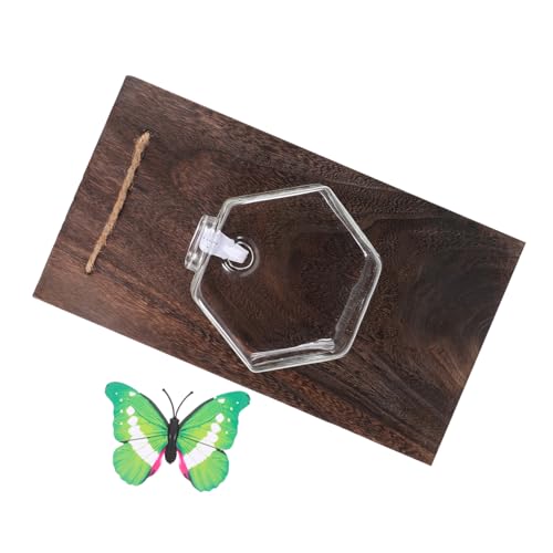 Sosoport Glas Terrarium Container Hängen Blumentopf Hydrokultur Für Indoor Grün Dekoration Sosoport Glas Terrarium Container Hängen Blumentopf Hydrokultur Für Indoor Grün Dekoration von Sosoport