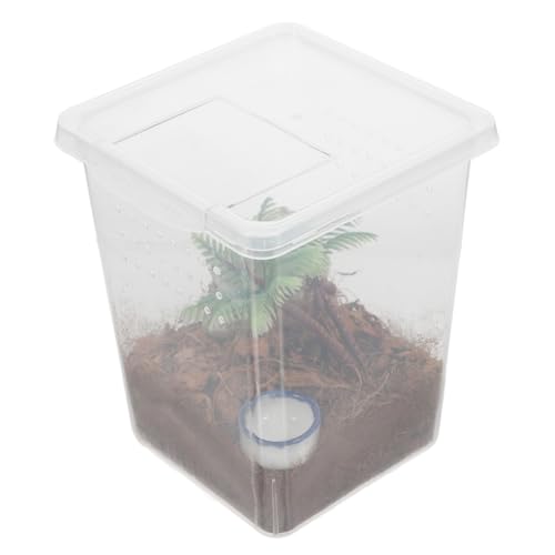 Sosoport Spinnenbox-Set Für Haustiere Reptilienzuchtbehälter Fangbox Spinnengehege Für Den Innenbereich Geräumig Und Leicht Zu Reinigen von Sosoport