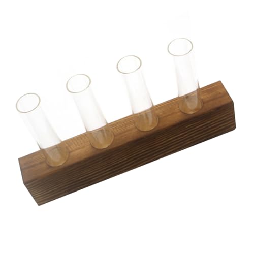 Sosoport 1 Stück Holzvase Pflanzen Künstliche Pflanzen aufhängen Pflanzen Glühbirne Aquarium trockenblüten trockenblumen einmachgläser Glasvasen für zu Hause Glasvase für zu Hause Sosoport 1 Stück Holzvase Pflanzen Künstliche Pflanzen aufhängen Pflanzen Glühbirne Aquarium trockenblüten trockenblumen einmachgläser Glasvasen für zu Hause Glasvase für zu Hause von Sosoport