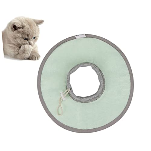 Sosoport 1 Stück Katze Elisabethanischer Kragen Halskreis Für Haustiere Verstellbares Haustier -erholungskegel Für Katzenhalsbänder Groß Schild Nach Operationen Green Sosoport 1 Stück Katze Elisabethanischer Kragen Halskreis Für Haustiere Verstellbares Haustier -erholungskegel Für Katzenhalsbänder Groß Schild Nach Operationen Green von Sosoport