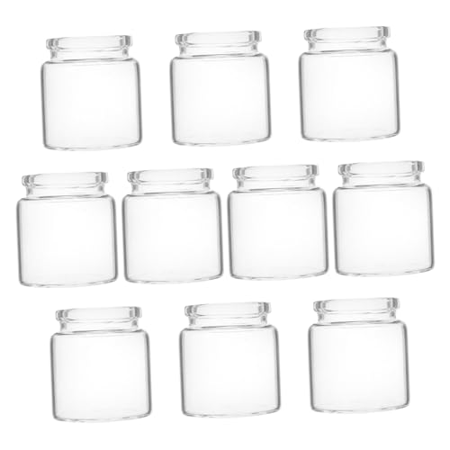 Sosoport 10 Stück Mini Sukkulente Glasflasche Miniatur-landschaftsvase Pflanzgefäß Für Glasflaschen Mikro-landschaftsflasche Mikrolandschaft Terrarium Ausbreitungsröhren Transparent von Sosoport