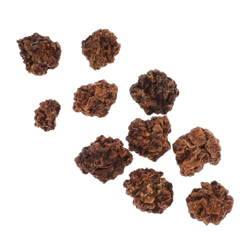 Sosoport 10Stücke Haustier Kau Ball Aus Silbervine Für Katzen Sicheres Kauspielzeug Zur Zahnreinigung Und Beschäftigung Für Katzen Und Kleine Sosoport 10Stücke Haustier Kau Ball Aus Silbervine Für Katzen Sicheres Kauspielzeug Zur Zahnreinigung Und Beschäftigung Für Katzen Und Kleine von Sosoport