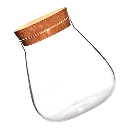 Sosoport 1stück Micro Landschafts-Terrarium Mit Korken Transparentes Glasgefäß Für Pflanzen DIY Bastelbedarf Für Sukkulenten Und Moos-Dekoration Sosoport 1stück Micro Landschafts-Terrarium Mit Korken Transparentes Glasgefäß Für Pflanzen DIY Bastelbedarf Für Sukkulenten Und Moos-Dekoration von Sosoport