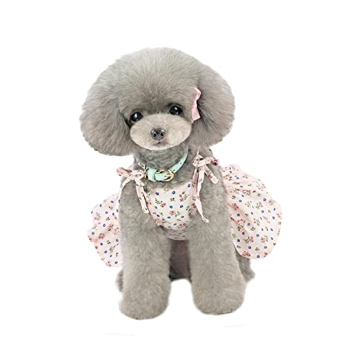 Sosoport Hundekleid Mit Blumenmuster Und Gänseblümchenmotiv – Haustier-kleidungsweste Für Und Mittelgroße Hunde Bequeme Passform Größe XL Sosoport Hundekleid Mit Blumenmuster Und Gänseblümchenmotiv – Haustier-kleidungsweste Für Und Mittelgroße Hunde Bequeme Passform Größe XL von Sosoport