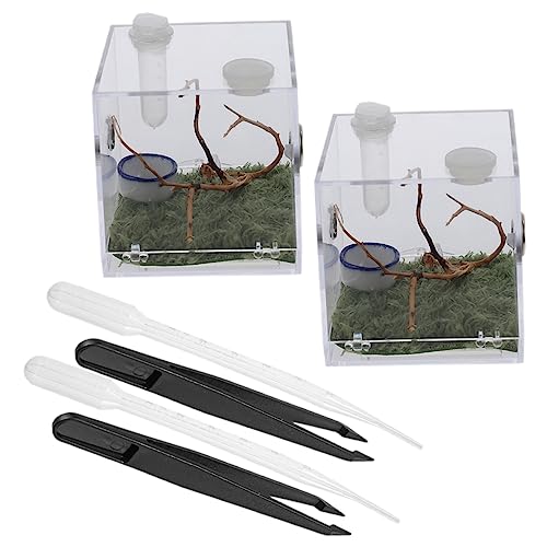 Sosoport 2 Sets Reptilien Aufbewahrungskoffer Großes Springspinnen Tankgehäuse Tarantel Spinne Terrarium Spinnenkäfig Käfige Für Spinnen Insekten Springspinnen Verstecke Haustier von Sosoport