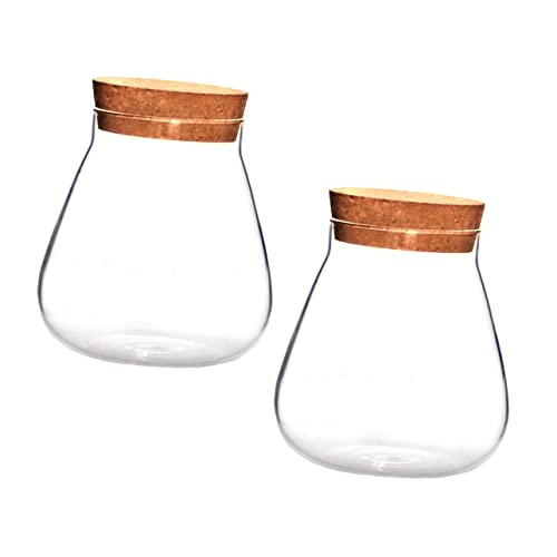 Sosoport 2stücke Ökologische Glasflaschen Mit Korkverschluss Hydroponik-vase Für Pflanzen Transparentes Mikrolandschaftsgefäß Für Dekoration Und Wasserpflanzenzucht Sosoport 2stücke Ökologische Glasflaschen Mit Korkverschluss Hydroponik-vase Für Pflanzen Transparentes Mikrolandschaftsgefäß Für Dekoration Und Wasserpflanzenzucht von Sosoport