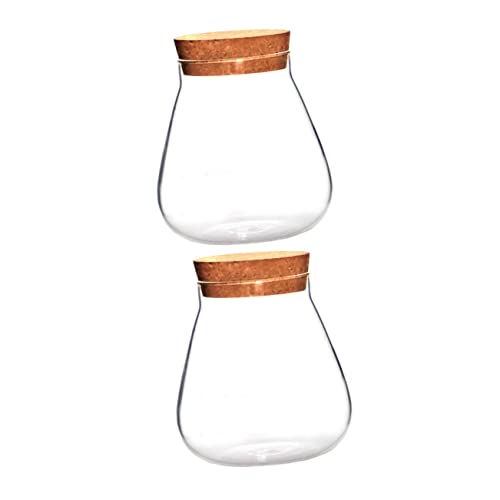 Sosoport 2st Flasche Aus Korkglas Luftpflanzen Bonbonglas Aus Glas Schreibtischdekoration Blumenornamente Ökologische Flasche Aus Algen Terrariennebler Cookie Jar Vorratsflasche Holz Siegel von Sosoport