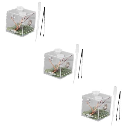 Sosoport 3stücke Transparentes Reptilien-Terrarium Für Spinnen Hochwertige Zuchtbox Pinzette Und Tropfer Für Optimale Haltung Und Pflege Von Reptilien Und Insekten Sosoport 3stücke Transparentes Reptilien-Terrarium Für Spinnen Hochwertige Zuchtbox Pinzette Und Tropfer Für Optimale Haltung Und Pflege Von Reptilien Und Insekten von Sosoport