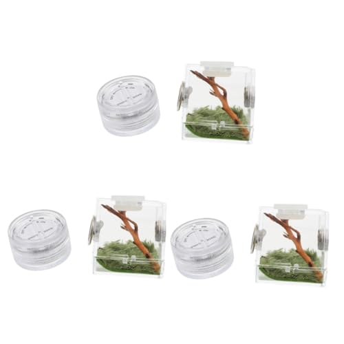 Sosoport 3stücke Spider Habitat Aufbewahrungsbox Für Springspinnen Mit Lampe Tragbares Terrarium Mit Luftzirkulation Und Feuchtigkeitskontrolle Für Haltung Von Springspinnen Und Anderen Sosoport 3stücke Spider Habitat Aufbewahrungsbox Für Springspinnen Mit Lampe Tragbares Terrarium Mit Luftzirkulation Und Feuchtigkeitskontrolle Für Haltung Von Springspinnen Und Anderen von Sosoport