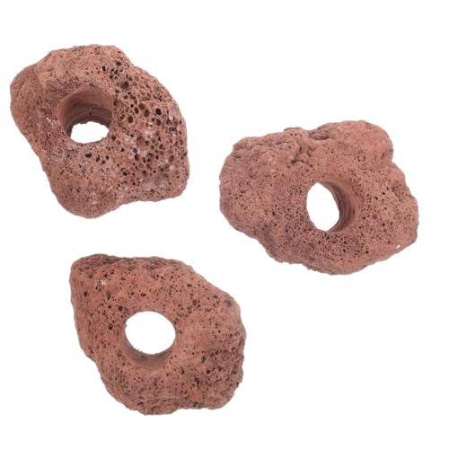 Sosoport 3st Aquatische Pflanzschale Becherhalter Für Anbaupflanzen Vulkangestein Im Aquarium Felsen Wasserpflanzen Fixieren Ringe Vulkanische Steine Aquarienwasserpflanze Werkzeug Keramik von Sosoport