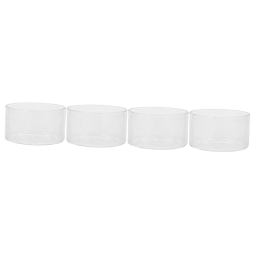 Sosoport 4 Stück Mikrolandschaftspflanzen Saftiger Luftpflanzer Landschaft Flasche Pflanzenhalter Wasserpflanzgefäß Hydroponisches Terrarium Konservierter Blumenbehälter Transparent Glas von Sosoport