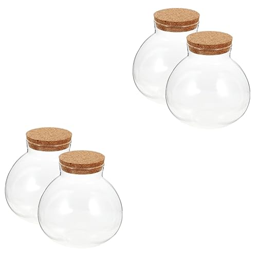 Sosoport 4 Stück Ökologische Mikrolandschaftsflasche Nachricht Wünscht Flasche Kristallglas Sukkulentenflasche Selber Machen Terrarium Moos-landschaftsbauflasche Ökologische Flasche Kuppel von Sosoport