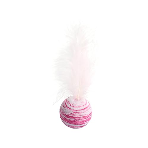 Sosoport 5 Stücke Tierbedarf Katzenspielzeug Katzenspielzeug Liefert Stern Katze Beißen Spielzeug Für Kätzchen Spielen Farbe Zufällig Sosoport 5 Stücke Tierbedarf Katzenspielzeug Katzenspielzeug Liefert Stern Katze Beißen Spielzeug Für Kätzchen Spielen Farbe Zufällig von Sosoport