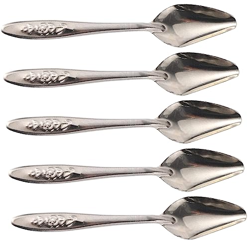 Sosoport 5stücke Futterlöffel Für Vögel Handfütterungswerkzeuge Für Papageien Und Andere Kleine Vögel Rostfrei Langlebig Einfach Zu Reinigen von Sosoport