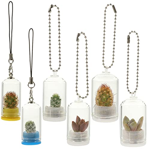 Sosoport Schlüsselanhänger-Charme Miniatur-glasvase Für Blumenvase Und Hängendes Glasterrarium von Sosoport