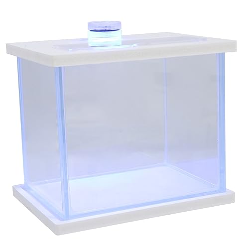 Sosoport Elegantes Mini-Aquarium Luftpumpe Fischtank Künstliches Aquarium Spielzeug Aqua Decor Glasfischtank Multifunktionaler Tank Landschaftsaquarium Behältertank Sosoport Elegantes Mini-Aquarium Luftpumpe Fischtank Künstliches Aquarium Spielzeug Aqua Decor Glasfischtank Multifunktionaler Tank Landschaftsaquarium Behältertank von Sosoport