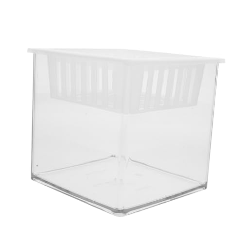 Sosoport Aquarium Quadratisch Mit Pflanzkorb Aus Transparentem Kunststoff Heimaquarium Für Wasserpflanzen Für Kampffische Kleiner Zuchtbehälter Für Büro Und Zuhause Sosoport Aquarium Quadratisch Mit Pflanzkorb Aus Transparentem Kunststoff Heimaquarium Für Wasserpflanzen Für Kampffische Kleiner Zuchtbehälter Für Büro Und Zuhause von Sosoport