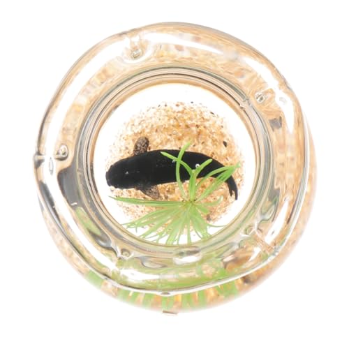 Sosoport Fischtank Modell für Puppenhaus Runde Koi Aquarium Dekoration für Miniaturgärten Verarbeitung und Realistisches Design für Charmante von Sosoport