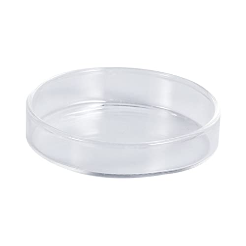 Sosoport Glas Garnelenfutter Becken Schwimmfähig Feeder Bowl Mehrzweck Für Fische Garnelen Reptilien von Sosoport