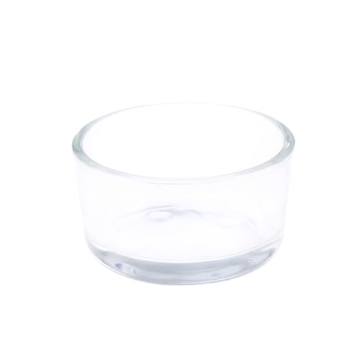 Sosoport Glas-reptilienfutter Runde Schalen Fischfutterschüssel Für Reptilien Wassertiere Und Elegantes Sicher Für Eidechsen Und Spinnen von Sosoport