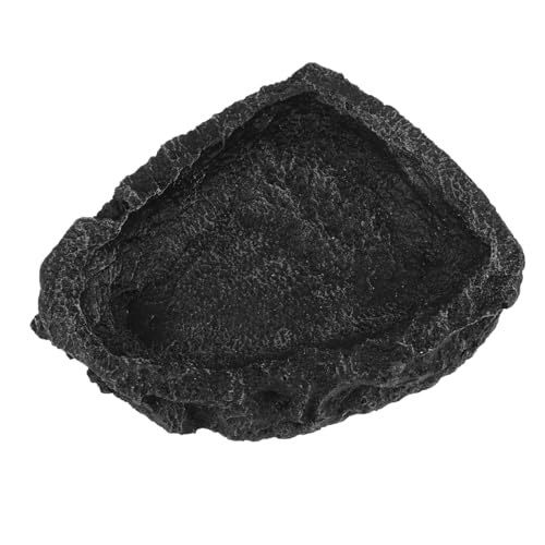 Sosoport Schildkrötenschale Mit Wasserschale – Reptilienschale Mit Leicht Zu Bedienendem Futterhalter Für Reptilien Für Meeresschildkröten Eidechsen Sosoport Schildkrötenschale Mit Wasserschale – Reptilienschale Mit Leicht Zu Bedienendem Futterhalter Für Reptilien Für Meeresschildkröten Eidechsen von Sosoport