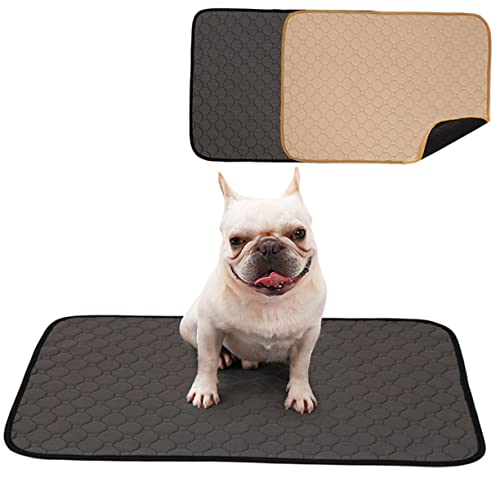 Sosoport Washable Pet Pee Pads Für Hunde Und Katzen Wiederverwendbare Pinkelmatte Für Welpen Beige Rutschfester Untergrund Training Sosoport Washable Pet Pee Pads Für Hunde Und Katzen Wiederverwendbare Pinkelmatte Für Welpen Beige Rutschfester Untergrund Training von Sosoport