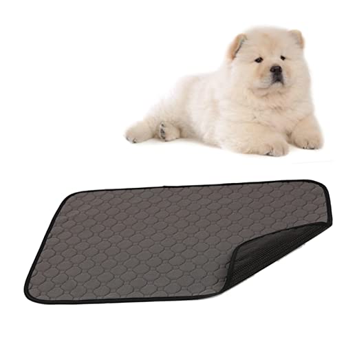 Sosoport Hunde-PIPI-pad Waschbar Wiederverwendbar Und Mit Robustem Futter Größe S Für Katzen Und Hunde Sosoport Hunde-PIPI-pad Waschbar Wiederverwendbar Und Mit Robustem Futter Größe S Für Katzen Und Hunde von Sosoport