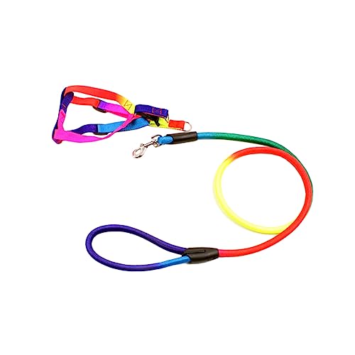 Sosoport Regenbogen-hundehalsband Und Modisches Nylon-zugseil Für Haustiere Größe M Für Hunde Sosoport Regenbogen-hundehalsband Und Modisches Nylon-zugseil Für Haustiere Größe M Für Hunde von Sosoport