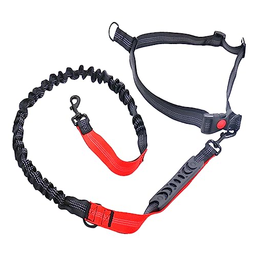 Sosoport 1 Stück Strapazierfähige Hundetrainingsleine Aus Nylon Einziehbare Hundeleine für Große/mittelgroße Hunde Reflektierende Bungee-Leine Roter Griff für Die Sosoport 1 Stück Strapazierfähige Hundetrainingsleine Aus Nylon Einziehbare Hundeleine für Große/mittelgroße Hunde Reflektierende Bungee-Leine Roter Griff für Die von Sosoport