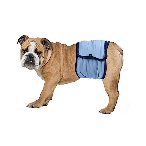 Sosoport Hündinnen Windel Waschbare Physiologische Hose für Hunde Xs Blau Wiederverwendbare Hygienehosen für Läufigkeit Inkontinenz und Untrainierte Welpen Schutz vor Flecken und Gerüchen Sosoport Hündinnen Windel Waschbare Physiologische Hose für Hunde Xs Blau Wiederverwendbare Hygienehosen für Läufigkeit Inkontinenz und Untrainierte Welpen Schutz vor Flecken und Gerüchen von Sosoport