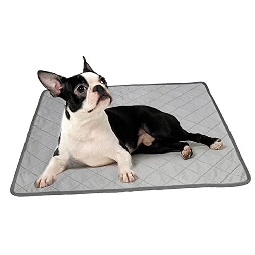 Sosoport Extra Große Haustier-PIPI-Pads – Kühlmatte Für Hunde Und Katzen Multifunktions-eispad Mit – Und Wasserabsorbierendem Kissen Sosoport Extra Große Haustier-PIPI-Pads – Kühlmatte Für Hunde Und Katzen Multifunktions-eispad Mit – Und Wasserabsorbierendem Kissen von Sosoport