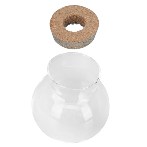 Sosoport Hydroponisches Aquarium Aus Glas Mini-Tasse Boho Wasserflasche Tank Krug Flaschen Pflanzen Reben Glocke Container Künstlich Fisch Anlage Makramee Dekorative Landschaftsflasche von Sosoport