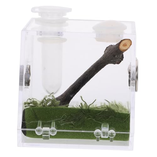 Sosoport Kasten Tarantula -Fütterungsbox Lebensraum Fall Spinnenfütterungsterrarium luftbefeuchter Insektenzuchtbecken Transparentes Spinnenterrarium Insektenbehälter Acryl Sosoport Kasten Tarantula -Fütterungsbox Lebensraum Fall Spinnenfütterungsterrarium luftbefeuchter Insektenzuchtbecken Transparentes Spinnenterrarium Insektenbehälter Acryl von Sosoport