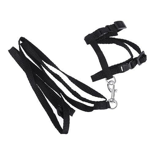 Sosoport Katzengeschirr Mit Für Haustiere Verstellbares Katzenhalsband Aus Nylon Leine Und Zubehör Für Kätzchen Schwarz von Sosoport