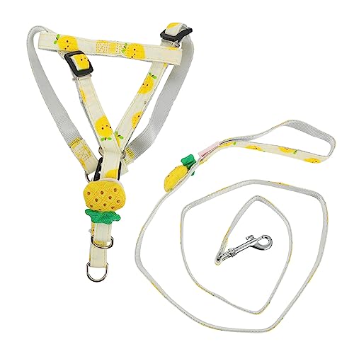 Sosoport Robuste Hundeleine Verstellbar mit Frucht-Aufdruck 1 5 cm für Training Sosoport Robuste Hundeleine Verstellbar mit Frucht-Aufdruck 1 5 cm für Training von Sosoport