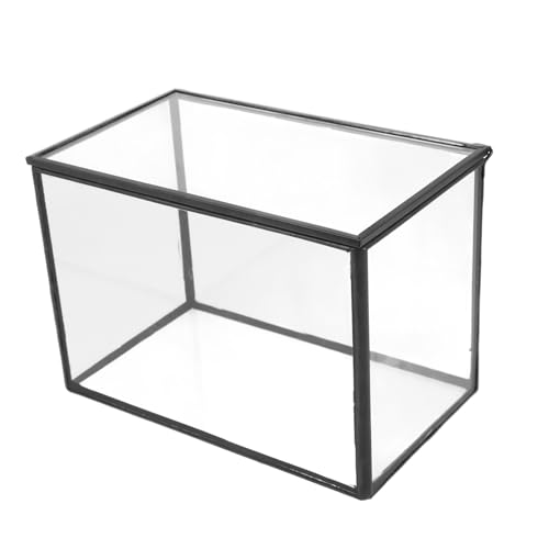 Sosoport Landschaft Glas Terrarium Dekorative Anlage Container Ökosystem Box Schwarz Zink Tisch von Sosoport