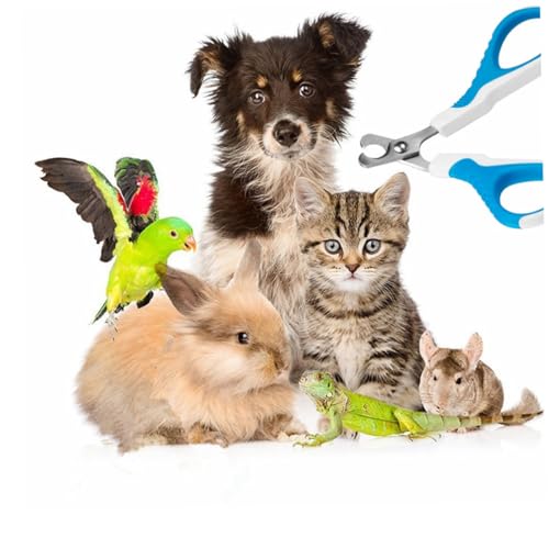 Sosoport Krallenknipser Aus Edelstahl Für Katzen Und Hunde. Stabiler Trimmer Mit Abgewinkeltem Design Für Präzises Krallenschneiden. Sosoport Krallenknipser Aus Edelstahl Für Katzen Und Hunde. Stabiler Trimmer Mit Abgewinkeltem Design Für Präzises Krallenschneiden. von Sosoport